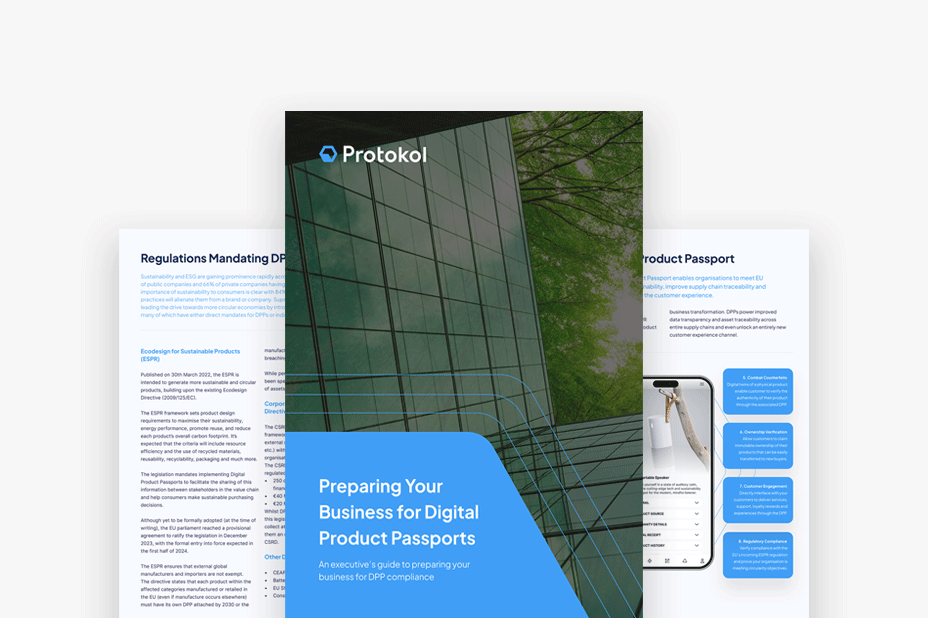 DPP-Guide&#8212;Social-Image-(2024)